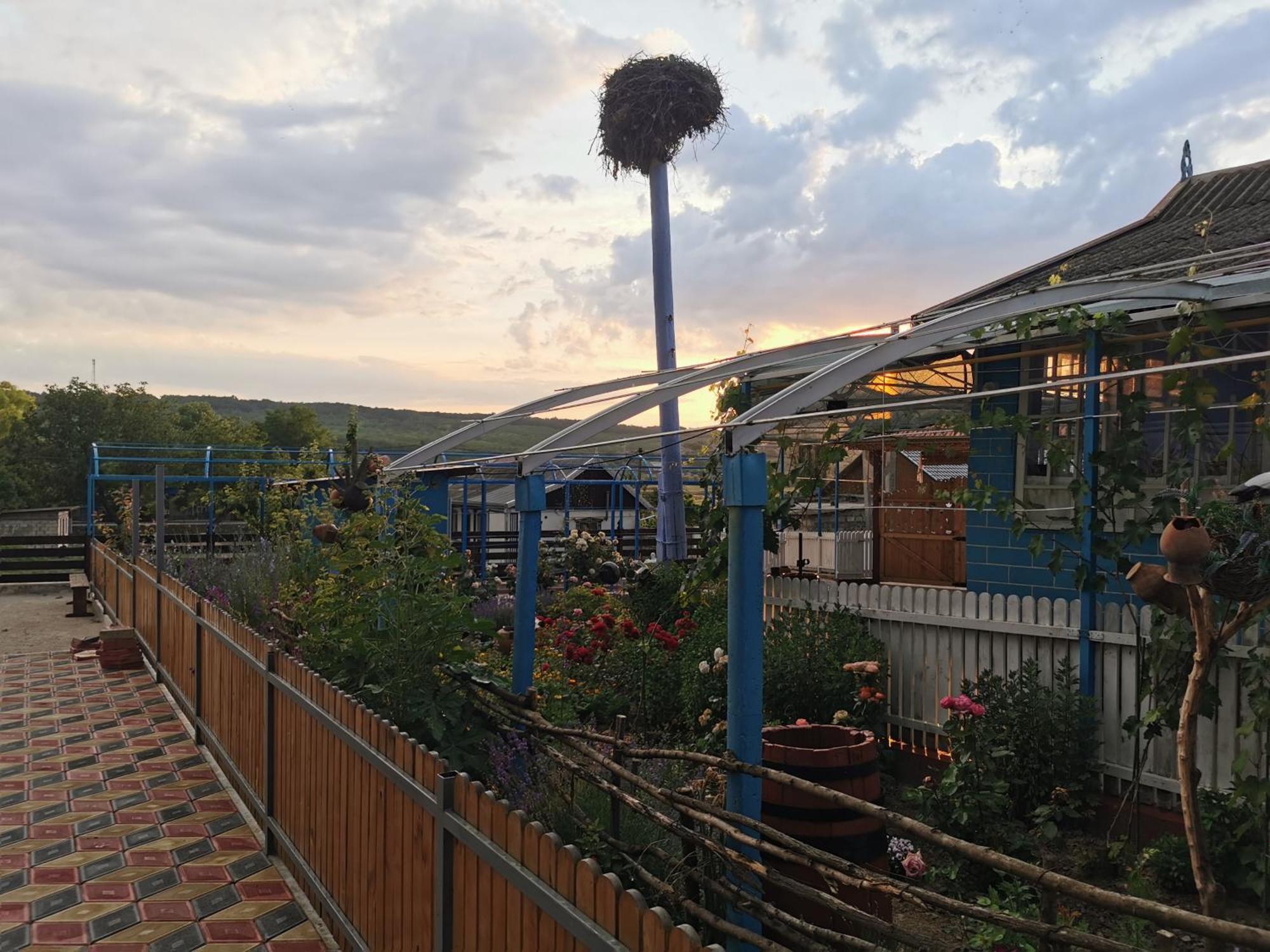 La Madalina Bed and Breakfast Selemet Exteriör bild