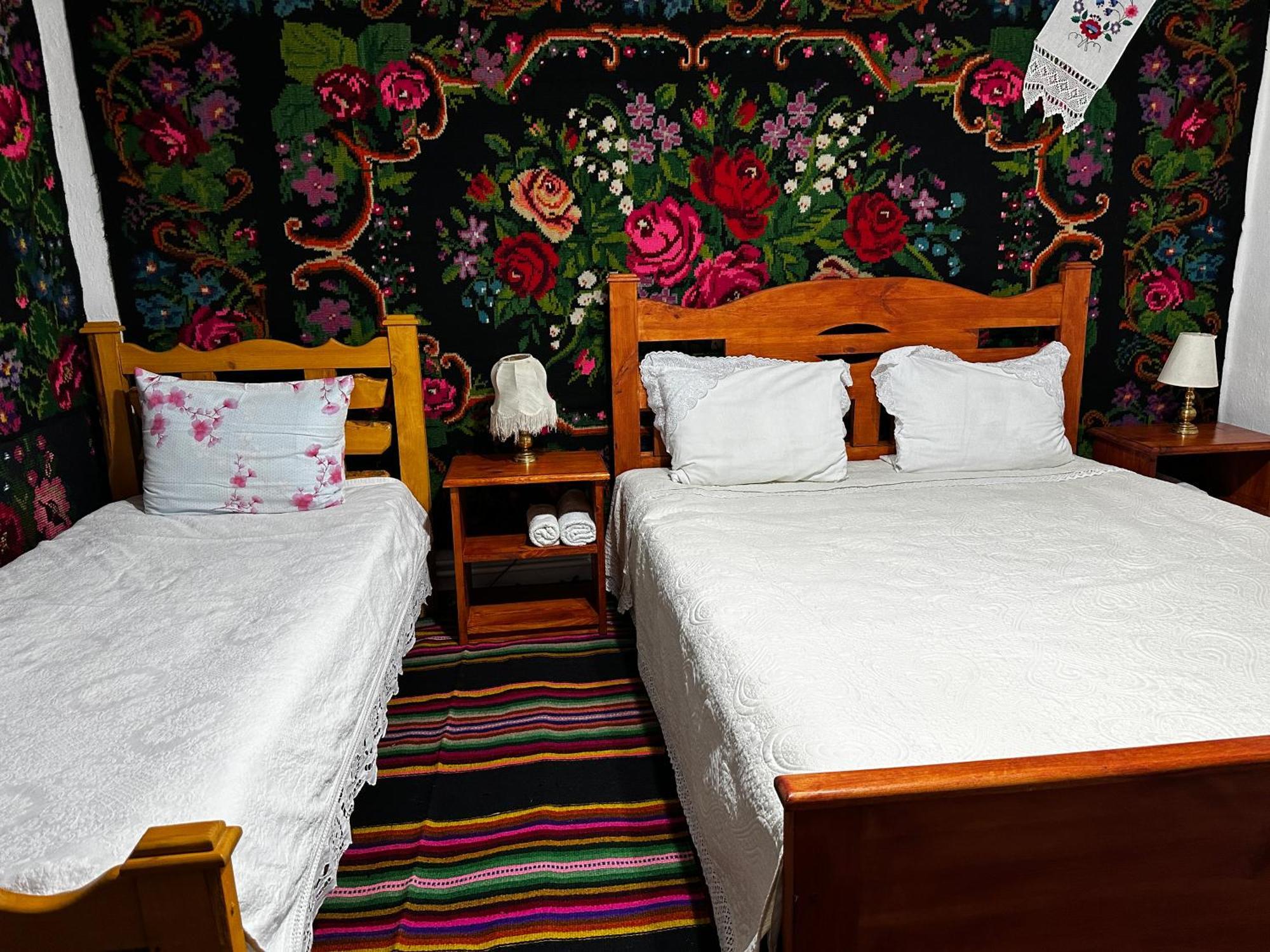 La Madalina Bed and Breakfast Selemet Exteriör bild